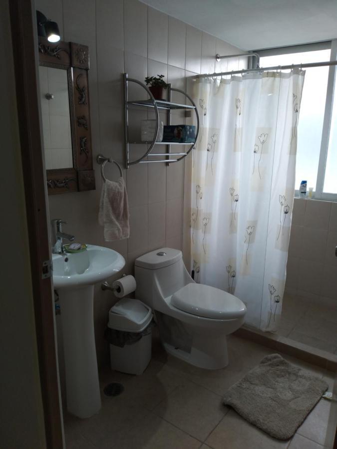 Charming Sunny Bedroom Overlooking Beautiful Amsterdam Avenue In Best Condesa Area 멕시코 시 외부 사진