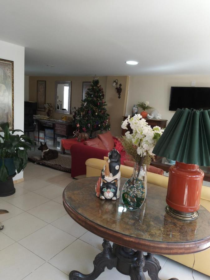 Charming Sunny Bedroom Overlooking Beautiful Amsterdam Avenue In Best Condesa Area 멕시코 시 외부 사진