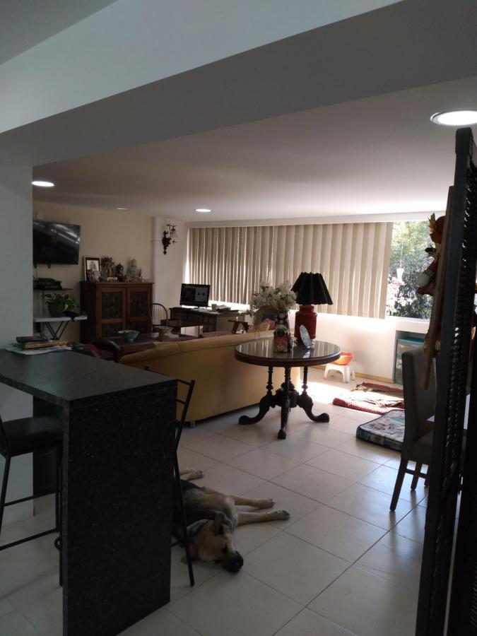 Charming Sunny Bedroom Overlooking Beautiful Amsterdam Avenue In Best Condesa Area 멕시코 시 외부 사진