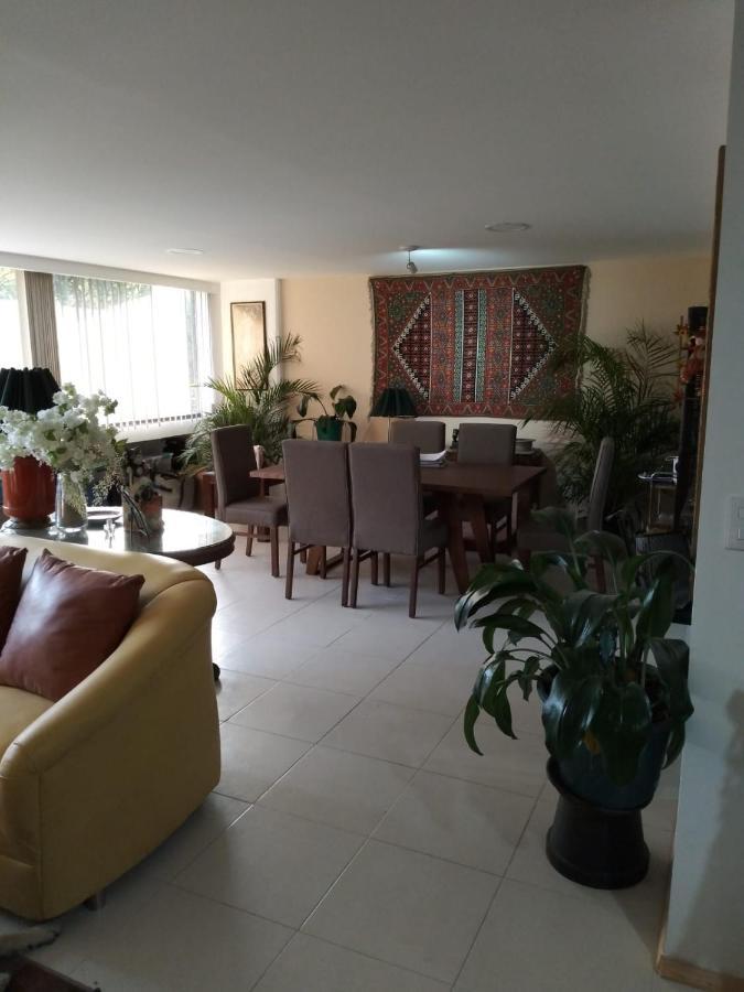 Charming Sunny Bedroom Overlooking Beautiful Amsterdam Avenue In Best Condesa Area 멕시코 시 외부 사진