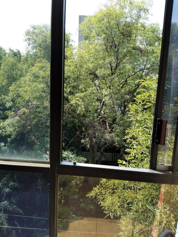 Charming Sunny Bedroom Overlooking Beautiful Amsterdam Avenue In Best Condesa Area 멕시코 시 외부 사진