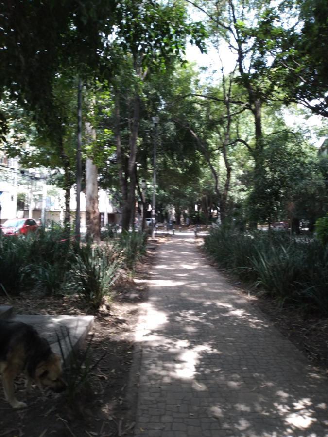 Charming Sunny Bedroom Overlooking Beautiful Amsterdam Avenue In Best Condesa Area 멕시코 시 외부 사진