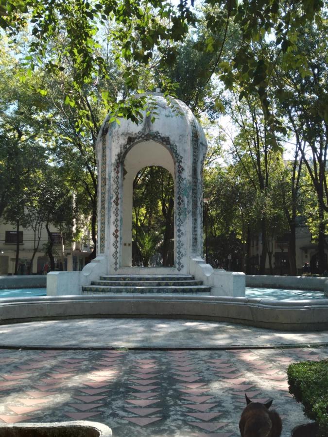 Charming Sunny Bedroom Overlooking Beautiful Amsterdam Avenue In Best Condesa Area 멕시코 시 외부 사진