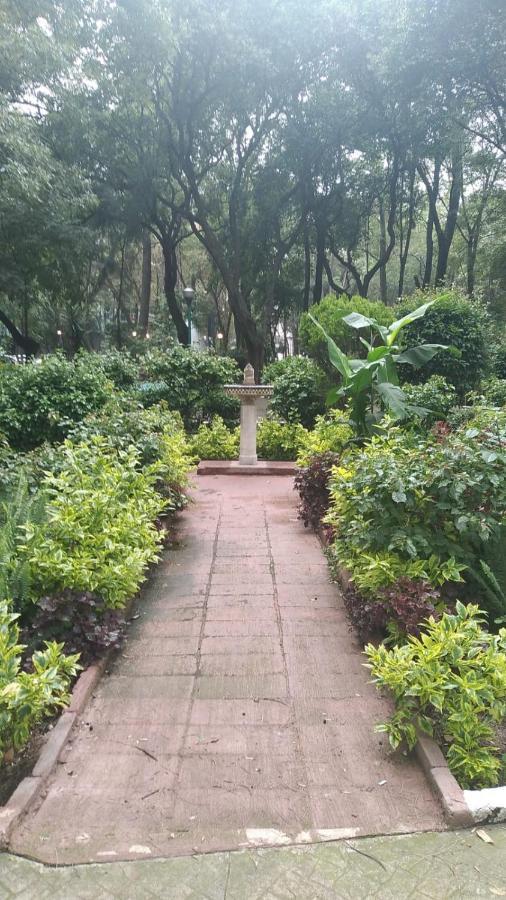 Charming Sunny Bedroom Overlooking Beautiful Amsterdam Avenue In Best Condesa Area 멕시코 시 외부 사진